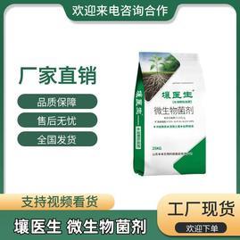 山东潍坊青州市丰本生物科技股份微生物菌剂 绿色农业的微生物力量