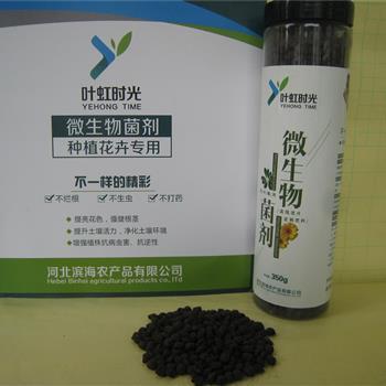 微生物菌剂 重塑农业土壤与作物健康的自然力量——以“叶虹时光”2瓶应用为例