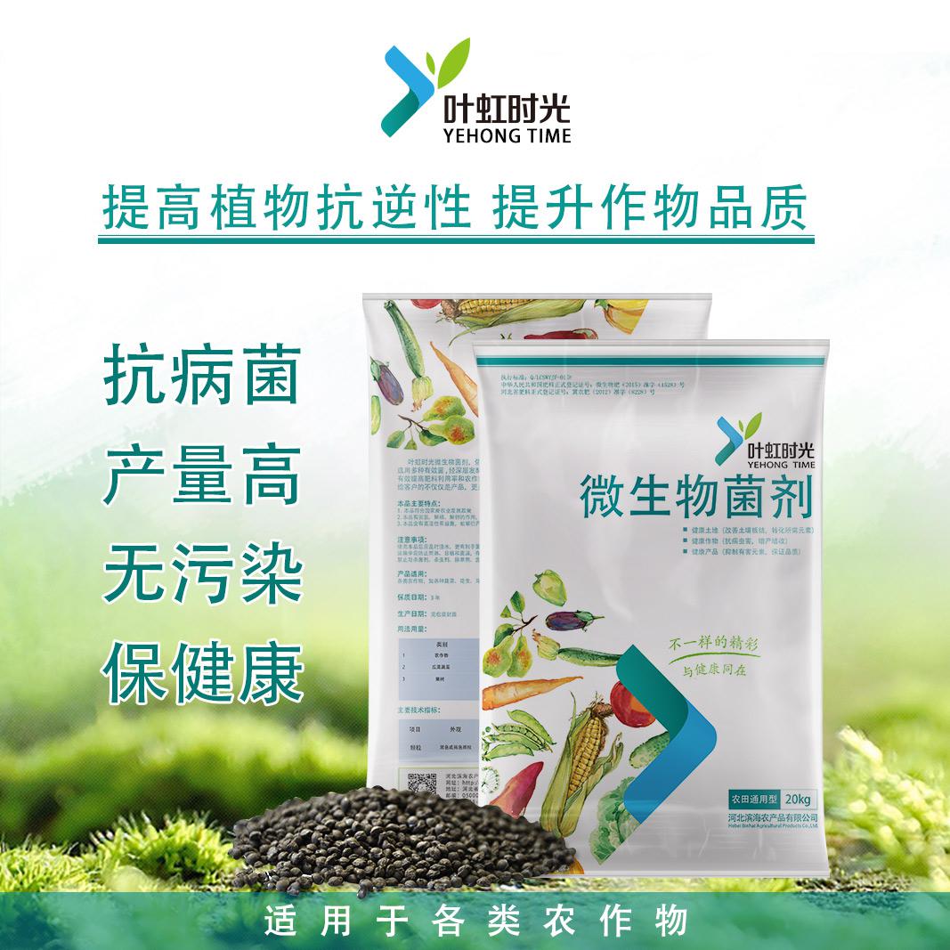微生物菌剂 农业绿色发展的隐形功臣